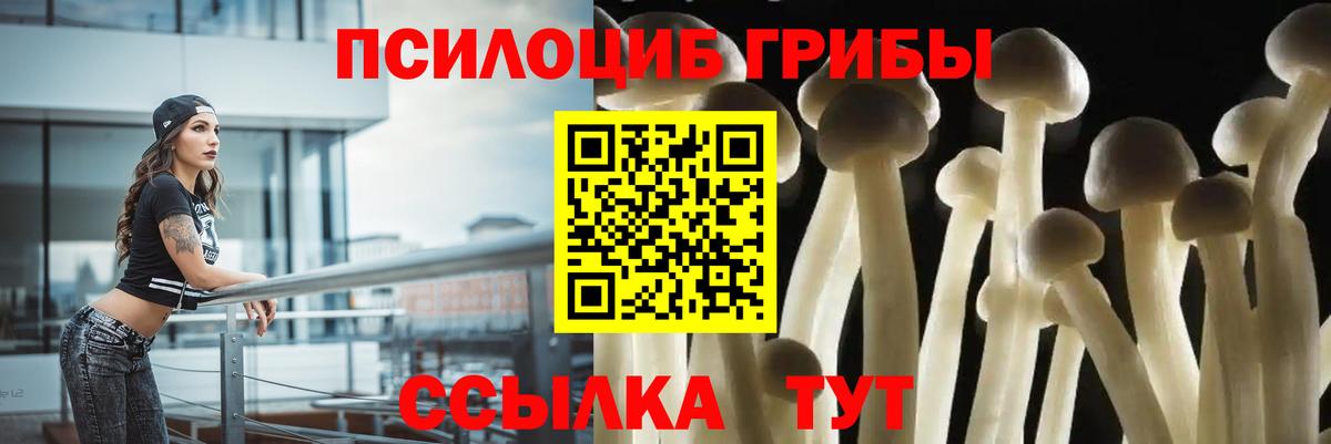Балашиха  Галлюциногенные грибы прущие грибы  Галлюциногенные грибы Cubensis  Вход с VPN 
